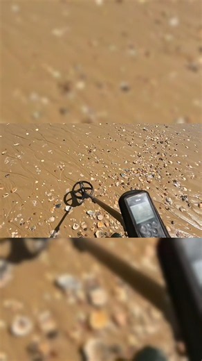 LE MEILLEUR PROGRAMME XP sur sable mouillé/eau salé #xpdeus #programme #détectiondemétaux