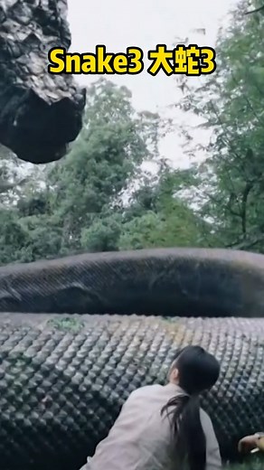 6.4K views · 121 reactions | Dinosaur fights for prey but the snake saves them! The dragon and snake war is about to start! | 经典大本营 | Facebook