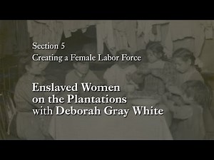 MOOC WHAW1.1x | 5.5.1 Enslaved Women on the Plantations with Deborah Gray White