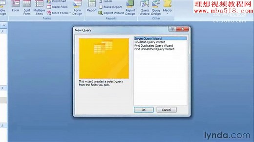 Access 2007查询功能深入讲解教程 共40讲0102 Naming conventions and best practices-0103 Using the Query Wizar