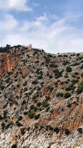 Savas Kaptan on Reels