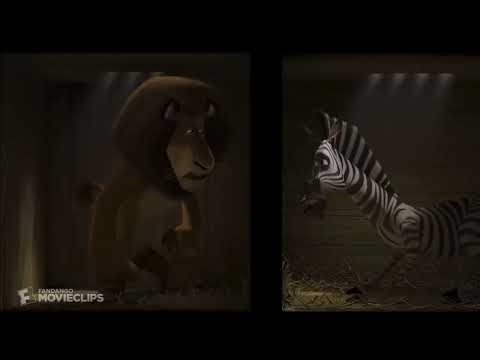 Madagascar Boat Argument (With Sound Effects)