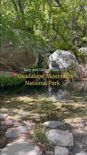 Easy and Unique Hike in Guadalupe Mountains National Park #nps #texas #nationalpark