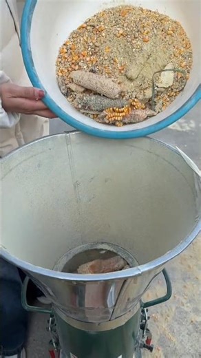 Corn Crusher Machine for Poultry & Cattle Feed Maize Grinder Demo #corncrusher #farmequipment #viral