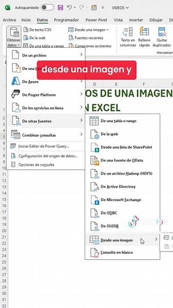 Cómo obtener datos de una imagen en Excel