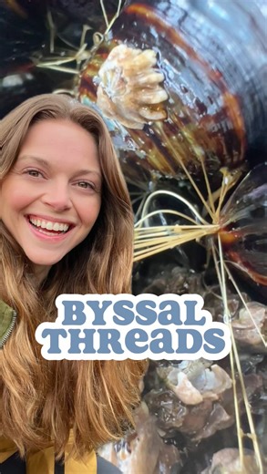8K views · 325 reactions | How do mussels attach themselves onto surfaces? They’ve got some super strong hair-like structures that hold their bodies in place called byssal threads! With the tides and waves, these hairs help bivalves stay attached to their selected surface. #marinebiology #lowtide #naturalist #tidepooling #bivalves #pacificnorthwest #intertidal #mussels #salishsea | The Nature Educator | Facebook