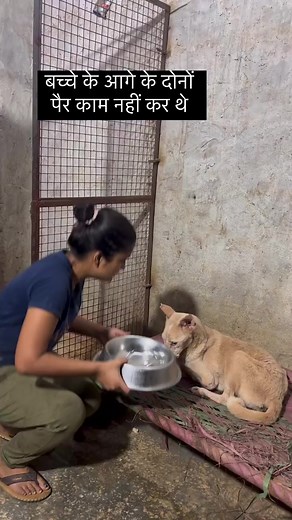 12K views · 1.5K reactions | donation platform - 9667016057(gpay/paytm/phonepe) account no. 50200079471040 ifsc code -HDFC0001408account holder name - STREET WORLDZ TRUST | Jagriti709 | Facebook