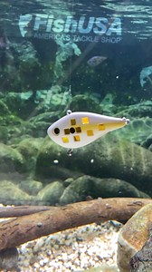 4.2K views | FishUSA on Reels | Facebook