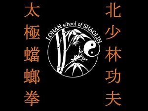 Another kung fu clip! | Dr. Kam Yuen