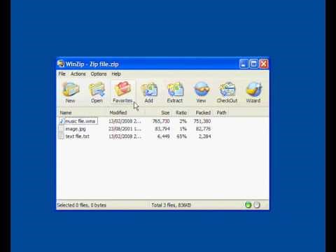 Unzip files using WinZip