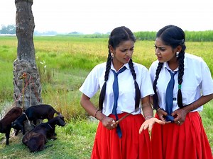 3.7M views · 63K reactions | बॉयफ्रेंड के लिए बकरी को बेचा | Jhagaru Mahto Comedy | Viral Clips | PPS Vines | Facebook