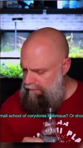 PRANKING Prime Time Aquatics 😂 #fishtank