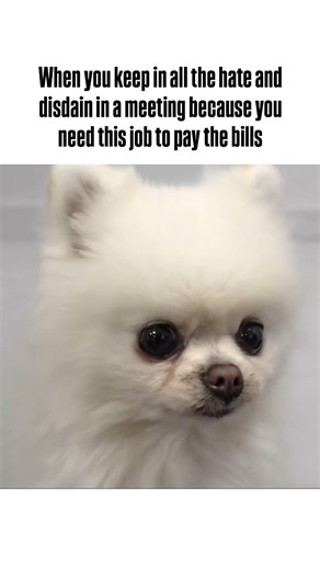 18K views · 118 reactions |  Let it go... let it go. #memes #workmemes | Wall Street Oasis | Facebook