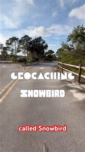 Geocaching - It's called Snowbird, Fun Lil Geo #geocaching