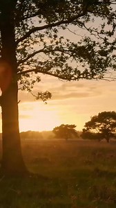 24 reactions | Isaiah 12:2 #faithblogger #peace #grace #bibleverse #Godslove #inspirational | Jesus Christ Ministries | Facebook