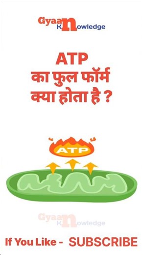 ATP का फुल फॉर्म क्या होता है ?