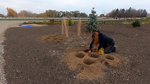 106K views · 7.9K reactions | Planting a Bunch of Beautiful...