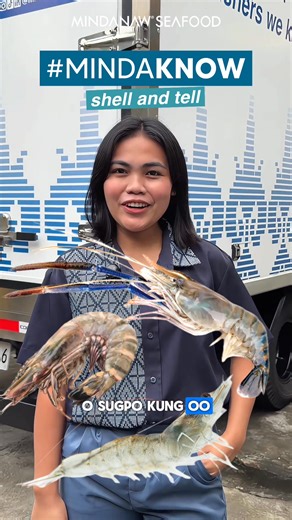 𝐌𝐢𝐧𝐝𝐚𝐊𝐍𝐎𝐖 Still guessing whether it’s shrimp or prawn? 🦐 Don’t worry! Here’s a quick and easy way to spot the difference between white shrimp, tiger prawn, and giant freshwater prawn. No seafood mix-ups next time! #MINDANAW #MINDANAWSeafood #Shrimp #Prawn #MindaKNOW #TigerPrawn #Sugpo #Hipon #freshwaterprawn #ulang | MINDANAW Seafood