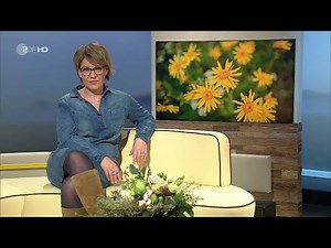 Andrea Ballschuh sonntags 18-04-2021 HD (kurz)