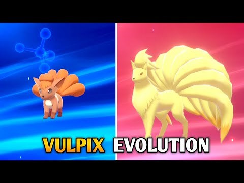 How To Evolve Vulpix Into Ninetales In Pokemon Sword & Shield | Galar Pokedex