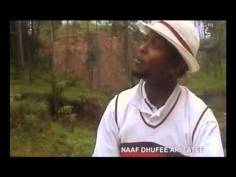 Dastaa Hinsarmuu 2010