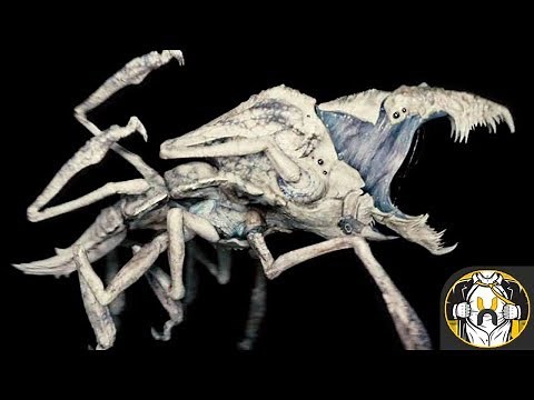 What Are The Parasites In Cloverfield? - Explained