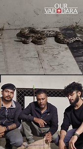 6.2K views · 63 reactions | The Wildlife Rescue Trust team rescued a...