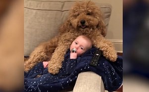 10 Most Adorable Pet & Human Duos You’ll Ever See