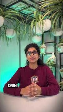 MCP Changed Notion AI Forever!