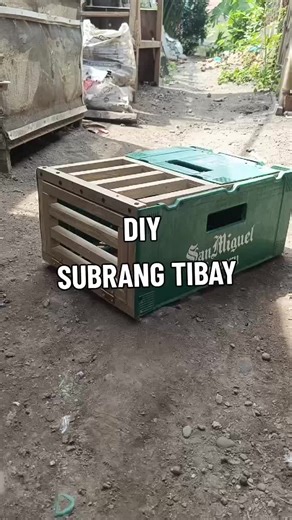 DIY Training Box for Racing Pigeons