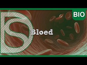 Biology - Blood (Circulation)