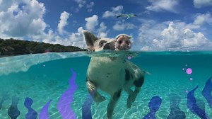 Create Winning Marketing Videos & Video Ads! Simply add your text, logo and you're good to go with an attention grabbing video! 48 HR FLASH SALE - 37% OFF All Marketing Videos! LIMITED TIME ONLY, Coupon Code: 48hours | Powtoon