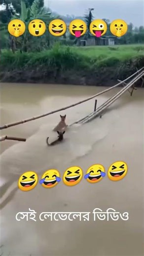 খুব সুন্দর একটি ভিডিও 🤫🤫🤫😜😝😆😄😄😄 #funny #comedyfilms