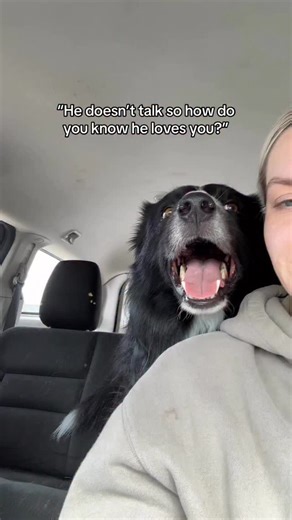 16K views · 10K reactions | There isn’t a day that goes by where my...