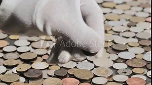 Numismatic enthusiasts examine modern and historic coins from diverse nations and value, while collectors passionately seek rare and unique pieces, monetary concept