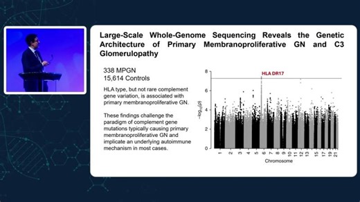 Mechanisms and Treatment of Immune Complex GN and C3 GN | American Society of Transplantation
