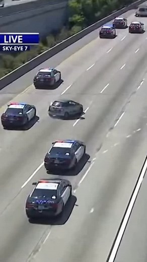 Koala Leads Police on Highway Chase — Caught Live from the Air Aerial footage shows a koala wearing a fluorescent yellow safety vest speeding down the highway after an alleged snack theft. The pursuit ends in a minor crash — then the koala is seen escaping on foot, sprinting across lanes as police close in. 📺 Hashtags: #BreakingNews #KoalaChase #LiveFootage #PolicePursuit #KoalaOnTheRun #HighwayChase #HelicopterView #TrafficUpdate #CaughtOnCamera #NewsAlert #WildlifeNews #ViralKoala #KoalaEscap