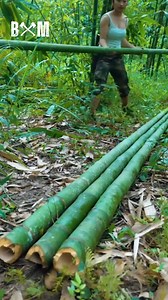 163K views · 3.1K reactions | A Surprising Encounter With a Giant Python During the Night #camping #bushcraft #survival #shelter #outdoors | Bushcraft Master | Facebook