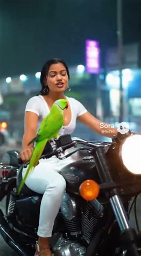 Parrot on the Bike Ride in the Rain-Ep-2 #talkingparot #bolnewalatota #parrotplaytime