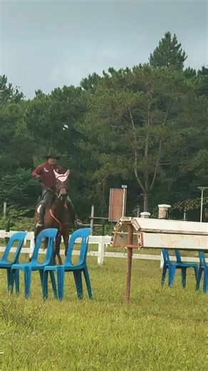 NYXARA — a Pure Thoroughbred Mare, formerly stabled and trained under the esteemed Cojuangco & Virata stables. Now gifted to and owned by Ms. Shannon Kerver, she proudly continues her journey under retraining at SFJ Stables — where legacy meets refinement. 🐎✨ At SFJ Stables, we offer premier horse training, horsemanship training for students, professional horse stabling, and select stud services — all guided by passion, precision, and the timeless art of true horsemanship. 🌿🐴 | SFJ Stables
