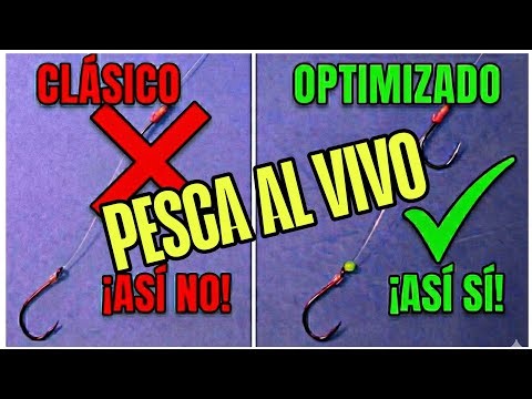 Pesca al Vivo: Optimiza el montaje de 2 anzuelos (Curricán de Fondo)"