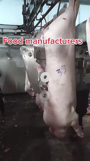 Understanding Pig Processing in Food Manufacturing