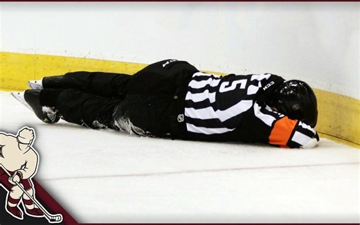 【冰球|NHL】被撞来撞去的老倒霉蛋裁判
