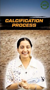 Calcification process