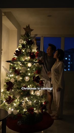 luke chan on Instagram: "Dont say i never give you advice on how to get out of an arguement with your partner hor 😆 CHRISTMAS IS COMING! Make sure to get your hyper realistic christmas trees , singapore biggest xmas tree showroom! 🎄 They have many many trees for you to choose! From small to super big , with many different types of hyper realistic trees as well, because their trees are made of FirTECH technology! 🔥 Make sure to go to mason.com.sg and check them out yoursel
