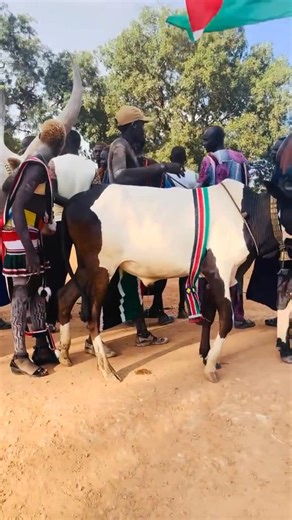 Akol Ngor Atem on Reels
