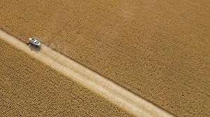 Harvesting large fields of crops - Free Stock Video