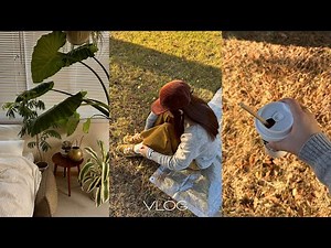 [VLOG]秋の始まり.観葉植物に囲まれて暮らす/朝からガッツリ食べてチョコロールパン作り.夕方ピクニック