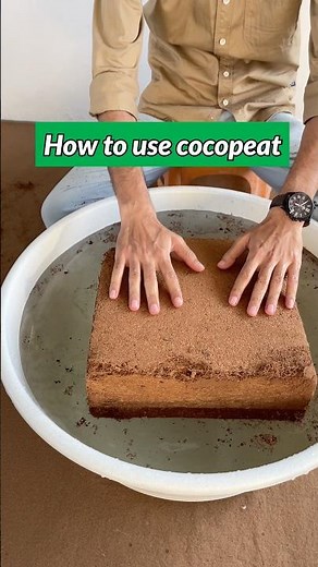 How to use cocopeat in container gardening 🧑‍🌾