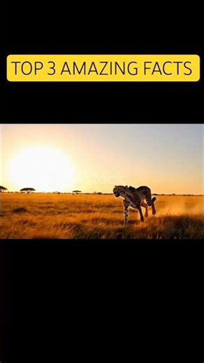 Top 3 amazing animal facts 🤯 || animals facts #shorts #facts #amazingfacts #factsinhindi #animals